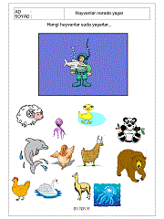 hangi hayvanlar gölde yaşarlar çalışma sayfaları